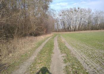 Działka nad jeziorem Uściwierz