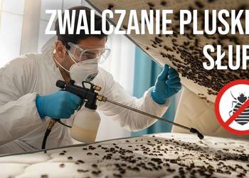 Zwalczanie pluskiew Słupsk - Odpluskwianie, Dezynsekcja