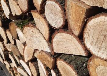 Drewno kominkowe, drewno opałowe SZYBKA DOSTAWA Drewno kominkowe, drewno opałowe SZYBKA DOSTAWA