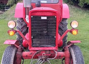 Traktor, ciągnik MTZ 50, zarejestrowany, pracujący. Wersja DDR.