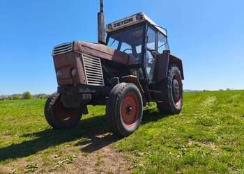 ZETOR 8011 *sprawny żółw i zając*