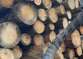 Drewno kominkowe i opałowe