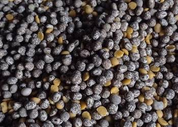 Łubin gorzki  czyszczony