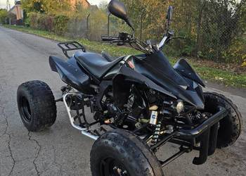 Quad EGL 250cc 4+1r 2011r Manual Duża rama kat B  Zarejestrowany!