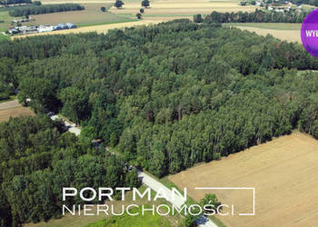 Działka w Dobrzyńcu 15 200 m2