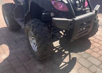 Quad Bashan