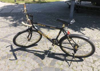 Rower Kross Grand Gold-S 26 cali Shimano