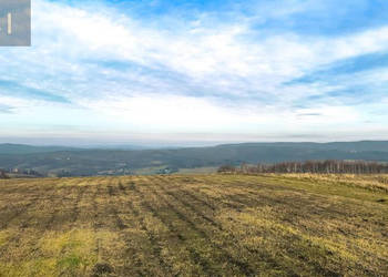 Ziemia na sprzedaż 10200m2 Gogołów