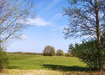 Działka rolna, łąka, Radolina, gm. Golina