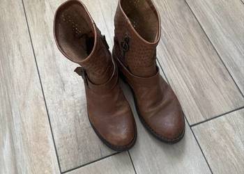 Kozaki Florentini baker r. 37