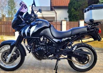 Triumpf Tiger idealny , Doinwestowany , Bezwypadkowy , zamienię .