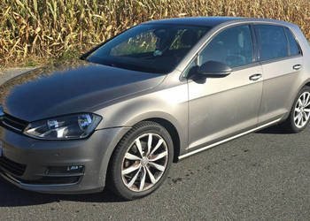 Volkswagen Golf Sutomat 160.000km VII (2012-)