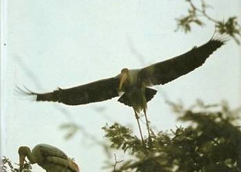 NEPAL - ALBUM