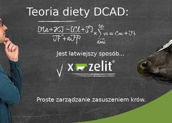 X-Zelit dla krów zasuszonych Proste zarządzanie zasuszeniem krów mlecznych