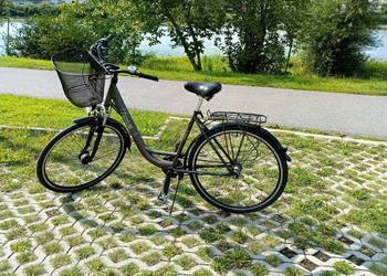 Rower Cossack Economic City 28", ALU