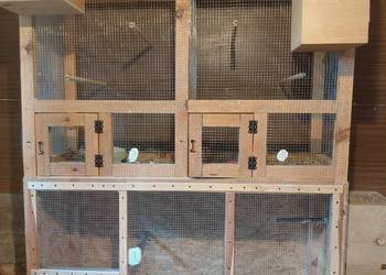 Klatki do hodowli papug