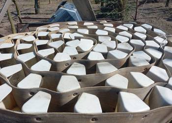 Taśma, podajnik kubełkowy