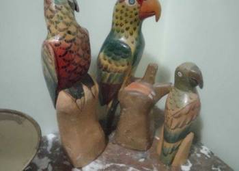 Kolorowe papugi balsa