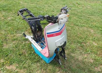 Honda lead AF 01E  Rama z dokumentami