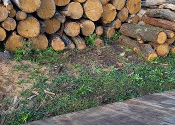 Sprzedam sezonowany suchy DĄB