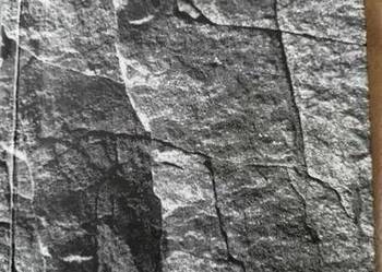 Głowiński Narratologia