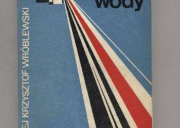 Na głębsze wody - Wróblewski