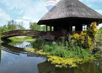 Dom w lesie na pięknej działce za Kościerzyną