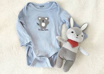 Niebieskie body 62 koala Sinsay bawełna