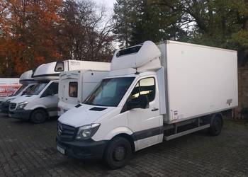 Mercedes Sprinter 316 2016 Chłodnia Mrożnia dwie komory 230V 8 palet.