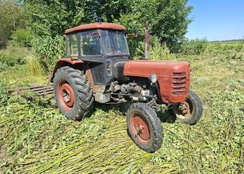 4011 ursus