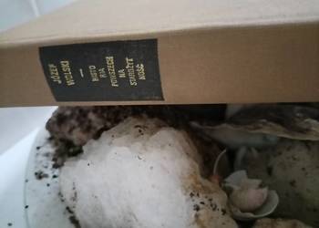 Wolski książki Historia powszechna starożytność antykwariat