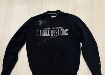 Bluza pitbull