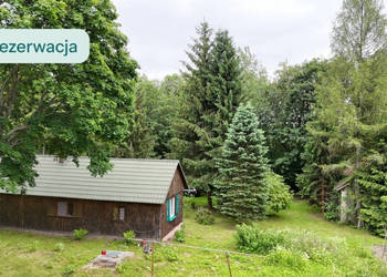 piękne ranczo z łąką i lasem pod Horyńcem-Zdrojem