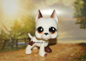 LPS dog niemiecki #750 oryginalny pop Littlest Pet Shop target exclusive