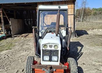 David Brown 885 sadowniczy