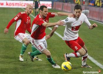 Bilet Bilety Polska Nowa Zelandia Stadion Sląski