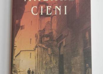 Malarz cieni - Esteban Martin