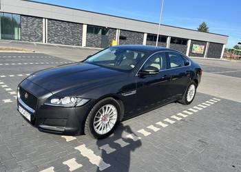 Jaguar XF 2017 zadbany