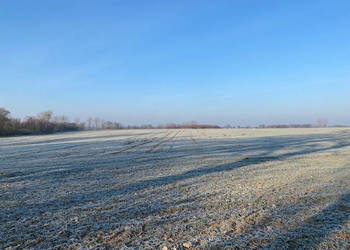 Syndyk sprzeda Nieruchomości w Sownie