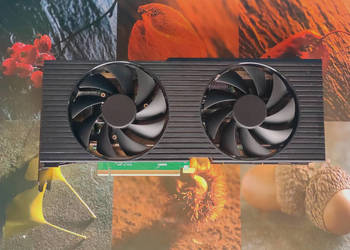 Karta graficzna Nvidia RTX 3080 10GB, DARMOWA wysyłka