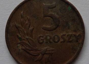 Moneta 5 groszy 1949