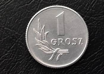 Moneta PRL 1 grosz 1949 - na szczęście