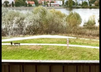 Mieszkanie z widokiem na Odrę
