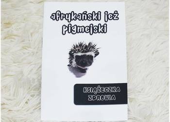 Książeczka Zdrowia Jeż pigmejski Nowa