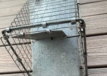 Klatka do odłowu pułapka żywołapka