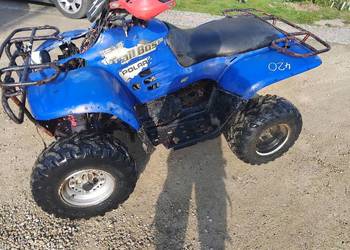 Quad Polaris Suzuki 500 wsteczny