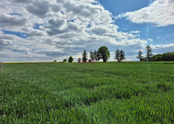 Działka Gliwice 3125m2