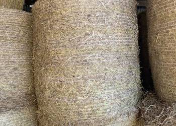 Sprzedam siano tegoroczne 125cm