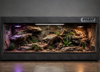 Terrarium dla gekona lamparciego żółwia greckiego