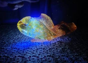 UNIKAT! Potężna Rzeźba Ryba z Bursztynu Bałtyckiego 943 g/26 cm/ TEST UV